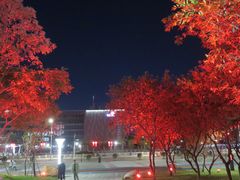 -文华公园(禅城区)