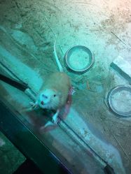 -酷嗒动物文化乐园(cutezoo西溪乐天城店)