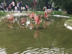 -无锡动物园·太湖欢乐园
