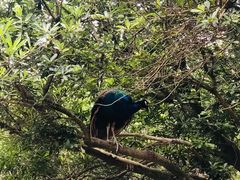 -泉州海丝野生动物世界