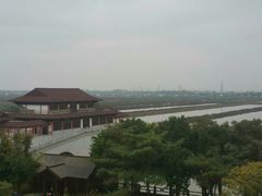 -大湾区中央湿地公园