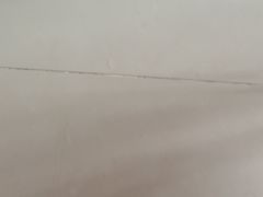 -巢爷老味(东方红店)