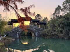 -八大山人梅湖景区