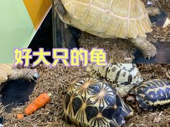 -上海海洋水族馆