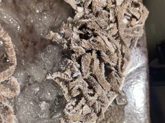 -熹悟海鲜火锅·广式打边炉