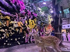 -正佳雨林生态植物园