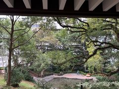-香港大学