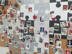 -翊宠yipet猫狗购宠庄园犬舍•猫舍