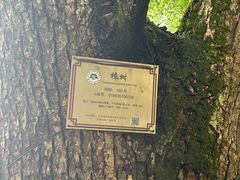 -西湖风景区十里琅珰-五云山
