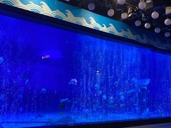 -烟台海昌鲸鲨海洋公园