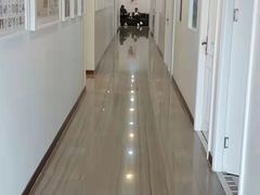 -刘健艺术钢琴学校·专注钢琴教育25周年(徐家汇校区)