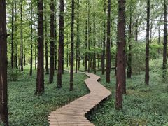 -国家植物园南园