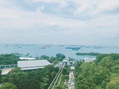 -圣淘沙天际线斜坡滑车