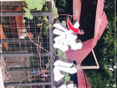 -老地方猫儿面(磁器口店)