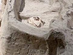 -洛阳周王城天子驾六博物馆