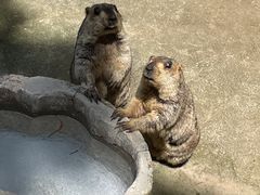 -云南野生动物园
