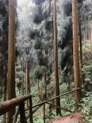 -HEYAN荷妍专业脱毛连锁机构
