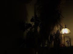 -Catail前苑(前门大街店)