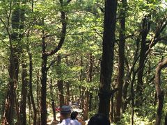 -罗田天堂寨风景区