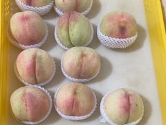 -老袁家蜜桃农场·阳山水蜜桃