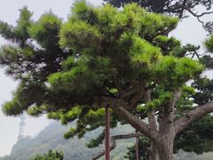 -妙峰山风景名胜区