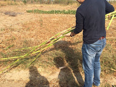 iphone_upload_pic-乡乐园蟹庄·阳澄湖农家乐