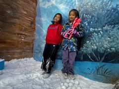 -世界之窗阿尔卑斯冰雪世界