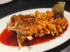 -RIVIERA 松鹤楼(外滩店)
