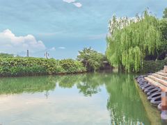 -乌镇景区