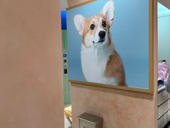 -上海久光百货