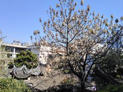 -乌山风景区