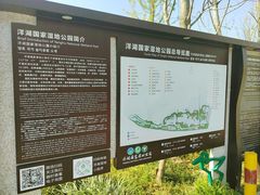 -洋湖国家湿地公园