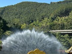 -西双版纳原始森林公园