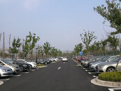 -春花秋色城市公园