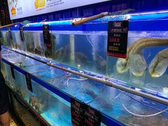 水产区-船梆煮•蒸汽海鲜·炉火烤肉(五四广场店)