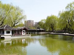 -团结湖公园
