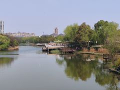 -新江湾城公园