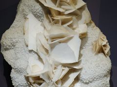 -湖南省地质博物馆