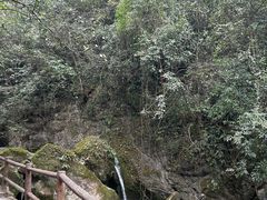 -青城山