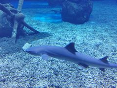 -多彩贵州城极地海洋世界