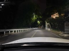 -南山植物园