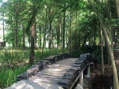 -东湖落雁景区