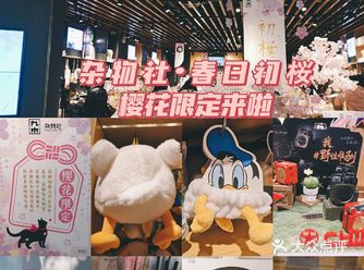 杂物社|遇见初桜|樱花限定来啦