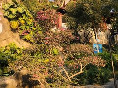 -鸿山公园