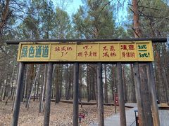 -北极村旅游风景区