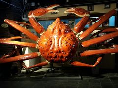 -蟹之国·精品蟹料理(极地店)