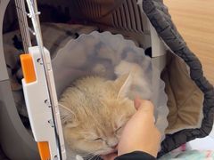 -达爱动物医院·犬猫分区·CT·复杂眼科(远洋山水分院)