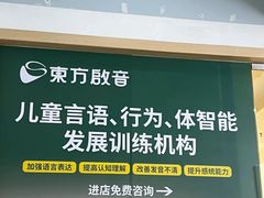 -东方启音·儿童康复中心·自闭症干预·语言迟缓·发育迟缓(深圳宝安中心)