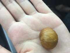 -阿男野栗王(金门路店)