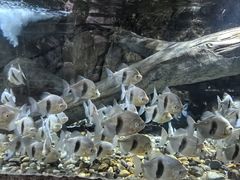 -福州罗源湾海洋世界旅游区